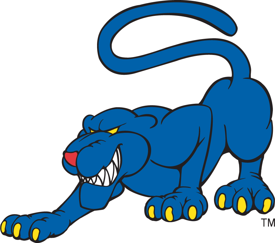 Georgia State Panthers 2002-2009 Secondary Logo v3 iron on transfers for clothing